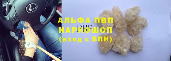 сатива Кодинск