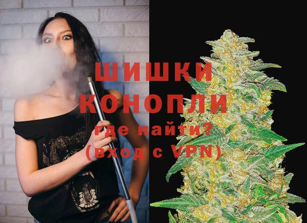 сатива Кодинск