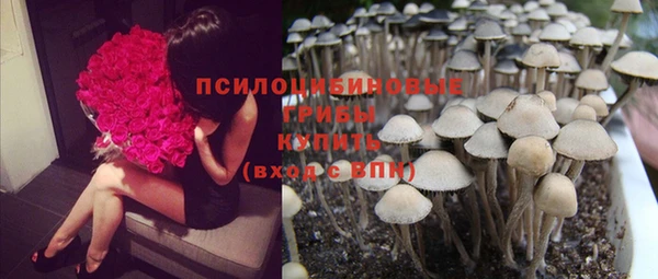 сатива Кодинск