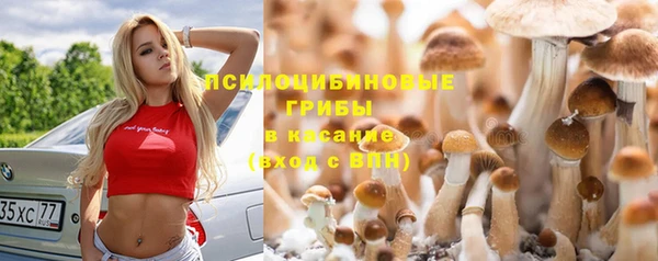 прущая мука Козельск
