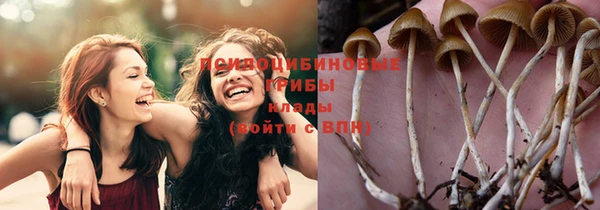 MDMA Premium VHQ Козловка