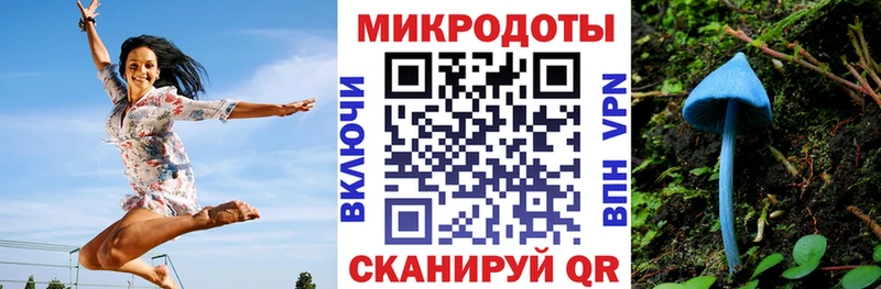 Купить где Миллерово Галлюциногенные грибы GOLDEN TEACHER